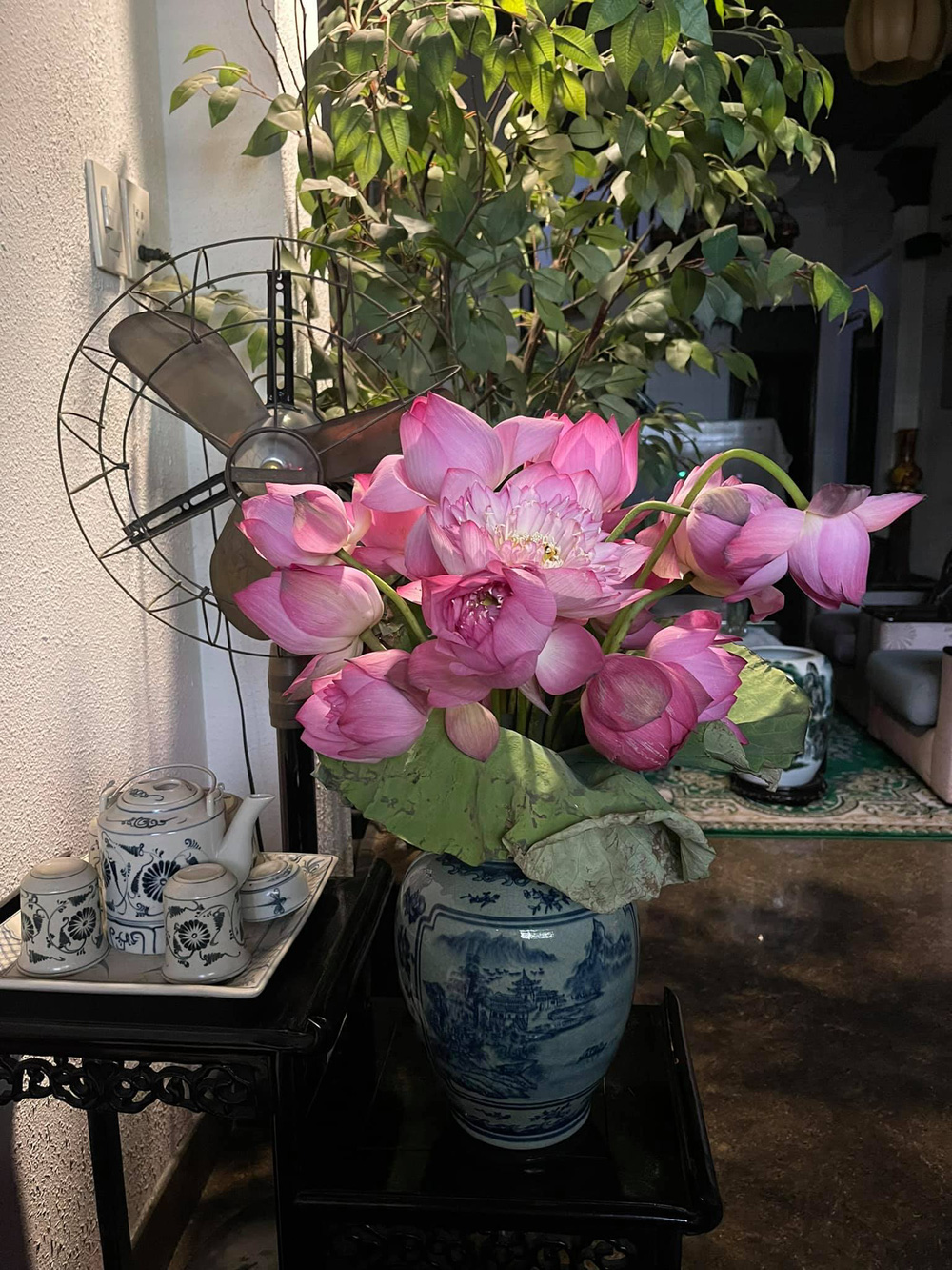 Cuộc sống của ca sĩ Quang Linh ở tuổi U60-4