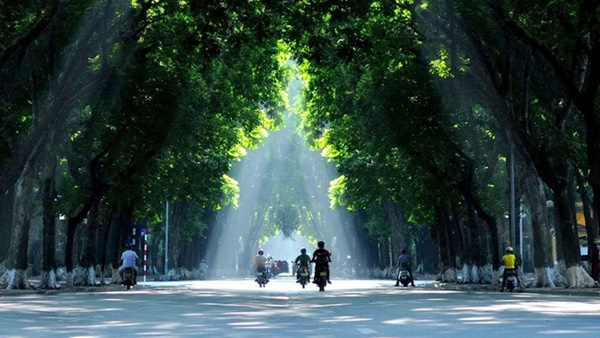 Ung thư phổi cực kỳ thích kết thân với 5 nhóm người này, kiểu thứ 5 ai nghe xong cũng thấy hãi-5