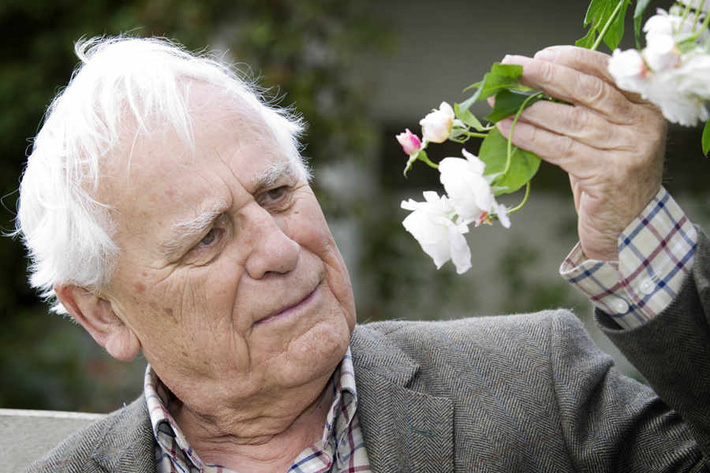 Khu vườn đẹp hơn cổ tích của người được phong danh là Vĩ nhân hoa hồng của thế giới-1