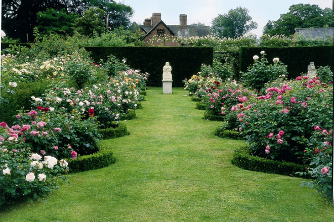 Khu vườn đẹp hơn cổ tích của người được phong danh là Vĩ nhân hoa hồng của thế giới-2