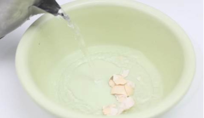 Ném vỏ trứng tương đương với ném tiền, 9/10 gia đình không biết-4