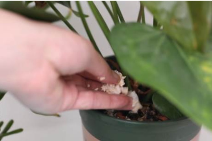 Ném vỏ trứng tương đương với ném tiền, 9/10 gia đình không biết-16