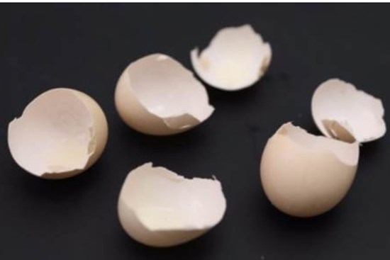 Ném vỏ trứng tương đương với ném tiền, 9/10 gia đình không biết