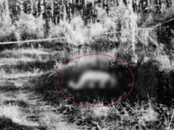 Đêm khuya nghe lại kỳ án gái bán hoa ra tay giết chết 7 khách hàng: Thủ đoạn không ghê tay, lật lại tuổi thơ dữ dội mới hiểu phần nào-5