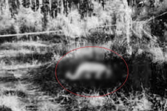 Đêm khuya nghe lại kỳ án 