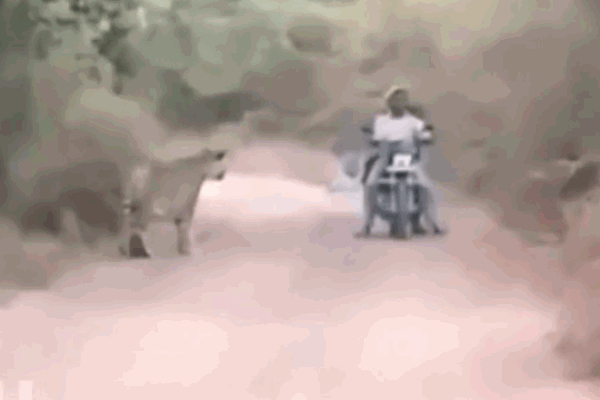 Dựng xe máy để tập thể dục ngay giữa ngã tư đường, cô gái khiến dân mạng ngán ngẩm-1