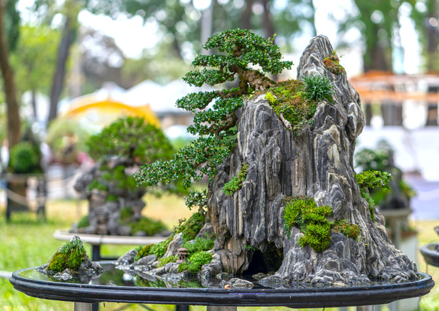 Người nghèo mãi nghèo là do mắc phải tam đại sát trước cửa nhà, còn người giàu âm thầm đặt 5 thứ này để tăng vượng khí-4