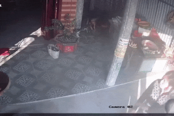 Khởi tố dì ghẻ tội Giết người: Tội ác nảy sinh từ sân và si-4