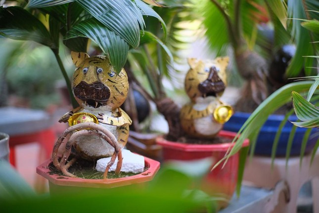 Chiêm ngưỡng dừa bonsai hình hổ thu hút khách trước Tết Nhâm Dần-4