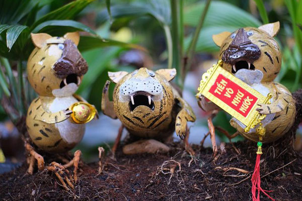 Đu đủ bonsai tiền triệu hút khách trên thị trường Tết 2022-11