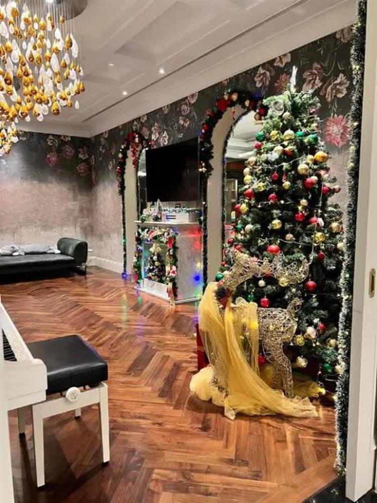 Cuộc sống của hoa hậu Nguyễn Thị Huyền: Kín tiếng sau ly hôn, ở biệt thự nhiều cây xanh-16