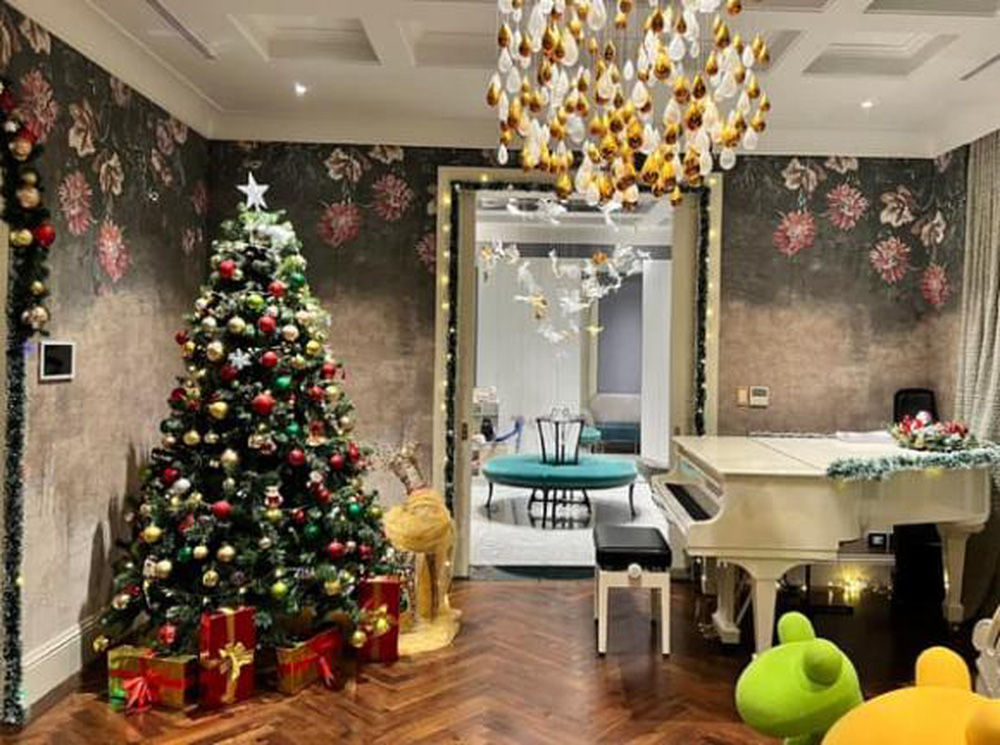 Cuộc sống của hoa hậu Nguyễn Thị Huyền: Kín tiếng sau ly hôn, ở biệt thự nhiều cây xanh-17