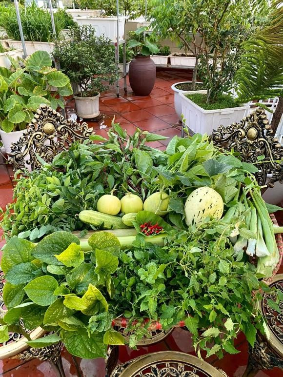 Trồng rau trên sân thượng không khó, nhưng làm sao để thu hoạch được nhiều và nước tưới không bị ngấm xuống nhà thì đây là bí quyết-1