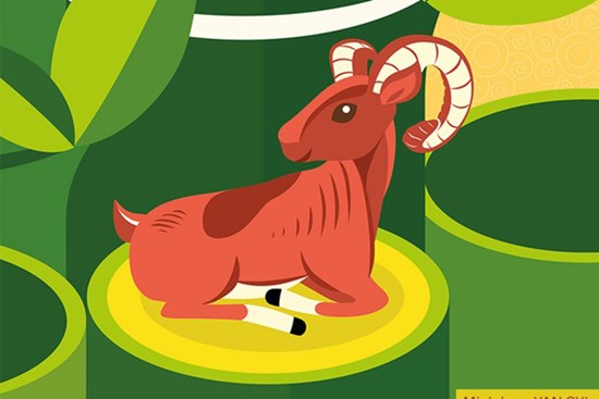 Năm Nhâm Dần 2022 của tuổi Mùi: Phúc lành gõ cửa, đón chờ tin vui