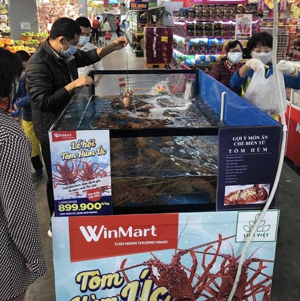 Tôm hùm ngon nhất thế giới giảm giá gần 60% ở siêu thị Việt, vài ngày bán được nửa tấn-3