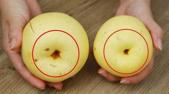 Khi mua lê, đừng chỉ chọn những quả to. Hướng dẫn bạn 4 mẹo để dễ dàng chọn được lê cái mỏng và mọng nước-3