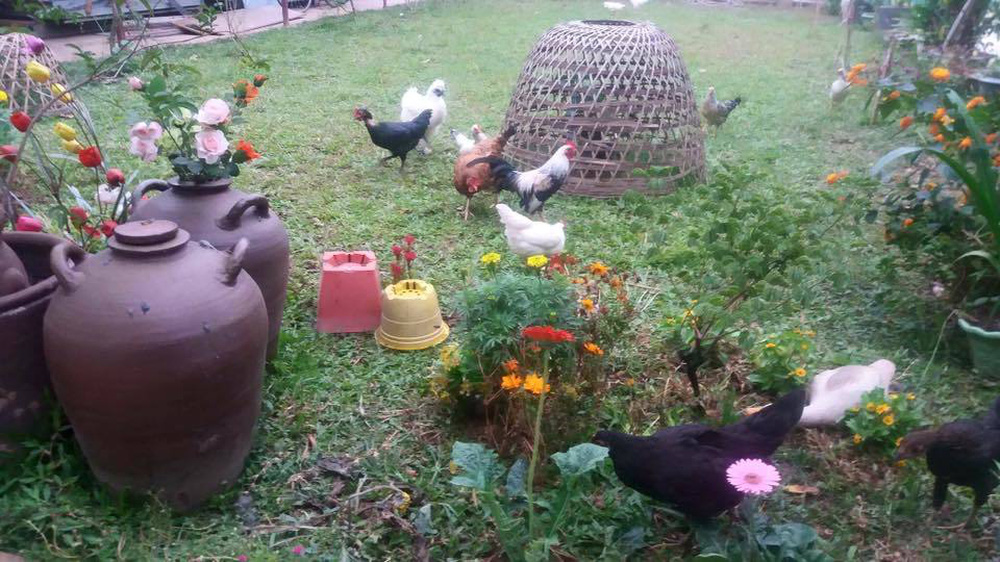 Cuộc sống của NSND Minh Hằng sau nỗi đau mất chồng và cha trong năm 2021-8