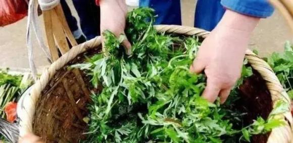 Hàng ngàn con ve chui ra khỏi nệm? Hướng dẫn bạn mẹo đuổi mạt dễ dàng mà không cần đun nước sôi hay phơi nắng-5