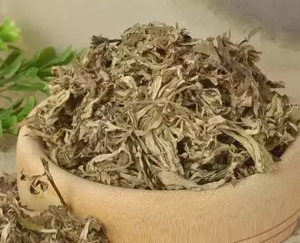 Hàng ngàn con ve chui ra khỏi nệm? Hướng dẫn bạn mẹo đuổi mạt dễ dàng mà không cần đun nước sôi hay phơi nắng-6