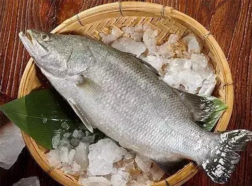 Những loại cá bị xếp vào danh sách đen, tốt nhất không nên cho trẻ nhỏ ăn vì vừa dễ gây bệnh lại làm tổn thương nhiều cơ quan trong cơ thể-2