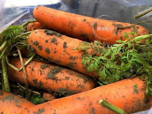 Khi mua cà rốt, nên chọn củ không có đất hay có dính đất tốt hơn? Sự khác biệt là gì, đừng mua nhầm sau khi đã tìm hiểu kỹ-4