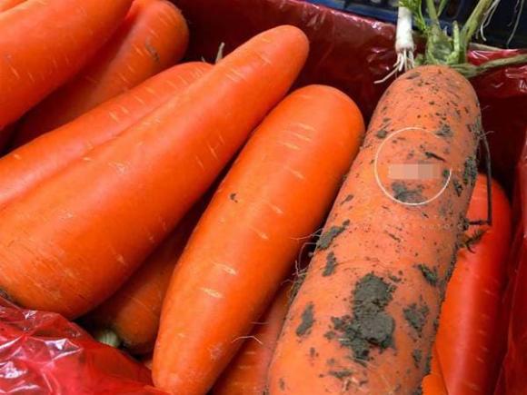 Khi mua cà rốt, nên chọn củ không có đất hay có dính đất tốt hơn? Sự khác biệt là gì, đừng mua nhầm sau khi đã tìm hiểu kỹ-5