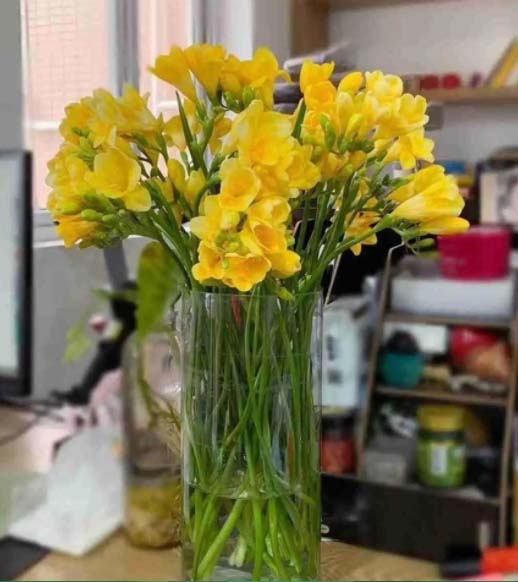 6 loài hoa đẹp tỏa hương thơm quyến rũ, cho tổ ấm thêm tao nhã, đón Tết tươi vui và may mắn-4