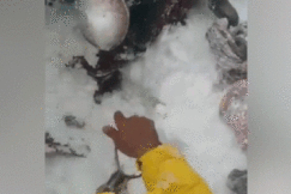 Vách đá đổ sập xuống thuyền chở khách khiến hàng chục người thương vong-1