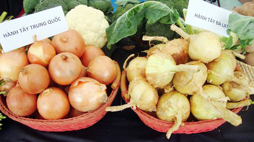 Muốn phân biệt hành tây Việt Nam và Trung Quốc chỉ cần nhìn vào đặc điểm này-2