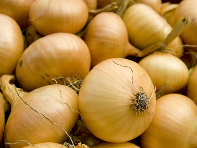 Muốn phân biệt hành tây Việt Nam và Trung Quốc chỉ cần nhìn vào đặc điểm này-5