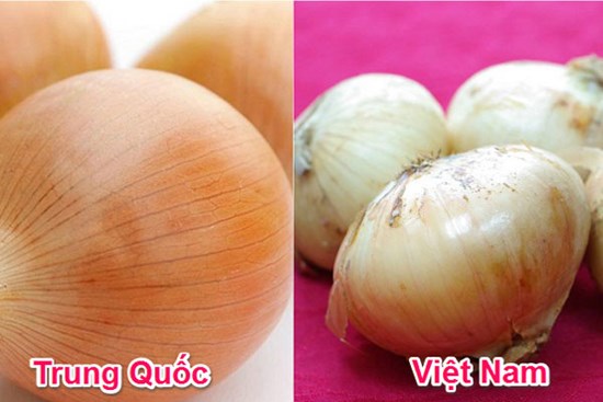 Muốn phân biệt hành tây Việt Nam và Trung Quốc chỉ cần nhìn vào đặc điểm này