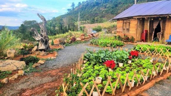 Do dịch Covid-19 phải cách ly ở Lâm Đồng, đôi vợ chồng trẻ chi tiền cải tạo nơi ở thành góc sống ảo ai cũng mê-1