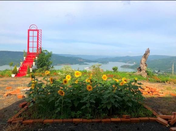 Do dịch Covid-19 phải cách ly ở Lâm Đồng, đôi vợ chồng trẻ chi tiền cải tạo nơi ở thành góc sống ảo ai cũng mê-3