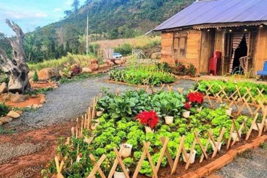 Do dịch Covid-19 phải cách ly ở Lâm Đồng, đôi vợ chồng trẻ chi tiền cải tạo nơi ở thành góc 'sống ảo' ai cũng mê