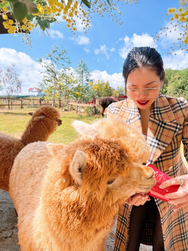 Liên tục bị soi mói chuyện yêu đương với tình trẻ Lâm Bảo Châu, Lệ Quyên lại lên tiếng nói đạo lý đầy thâm thuý-2