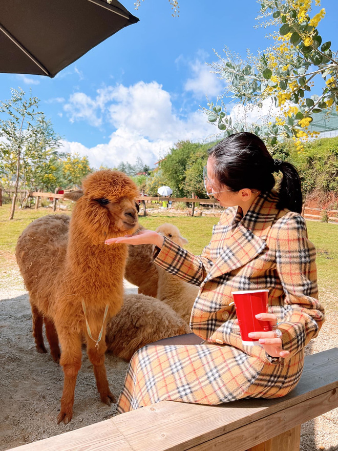 Liên tục bị soi mói chuyện yêu đương với tình trẻ Lâm Bảo Châu, Lệ Quyên lại lên tiếng nói đạo lý đầy thâm thuý-3