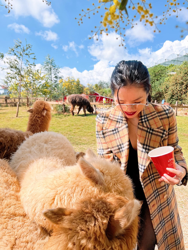 Liên tục bị soi mói chuyện yêu đương với tình trẻ Lâm Bảo Châu, Lệ Quyên lại lên tiếng nói đạo lý đầy thâm thuý-4