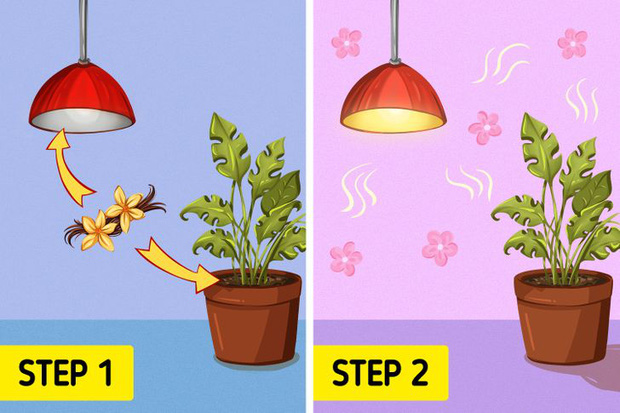 7 mẹo vặt hiệu quả từ những thứ ngay trong bếp mà nhiều chị em chưa biết, sốc nhất là mẹo với bột nghệ và nước súc miệng!-5