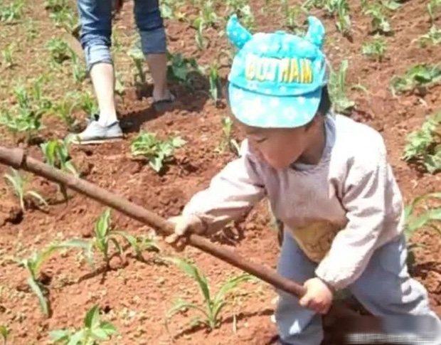 Đưa con trai 3 tuổi về nhà bà nội ít hôm, người mẹ sốc nặng khi thấy ngoại hình có 1-0-2 của con khi đón về-1