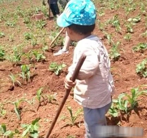 Đưa con trai 3 tuổi về nhà bà nội ít hôm, người mẹ sốc nặng khi thấy ngoại hình có 1-0-2 của con khi đón về-2