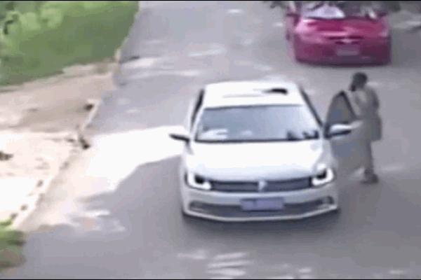 Khoảnh khắc hổ lao ra từ rừng rượt đuổi ô tô, tài xế phải nhấn ga bỏ chạy-1