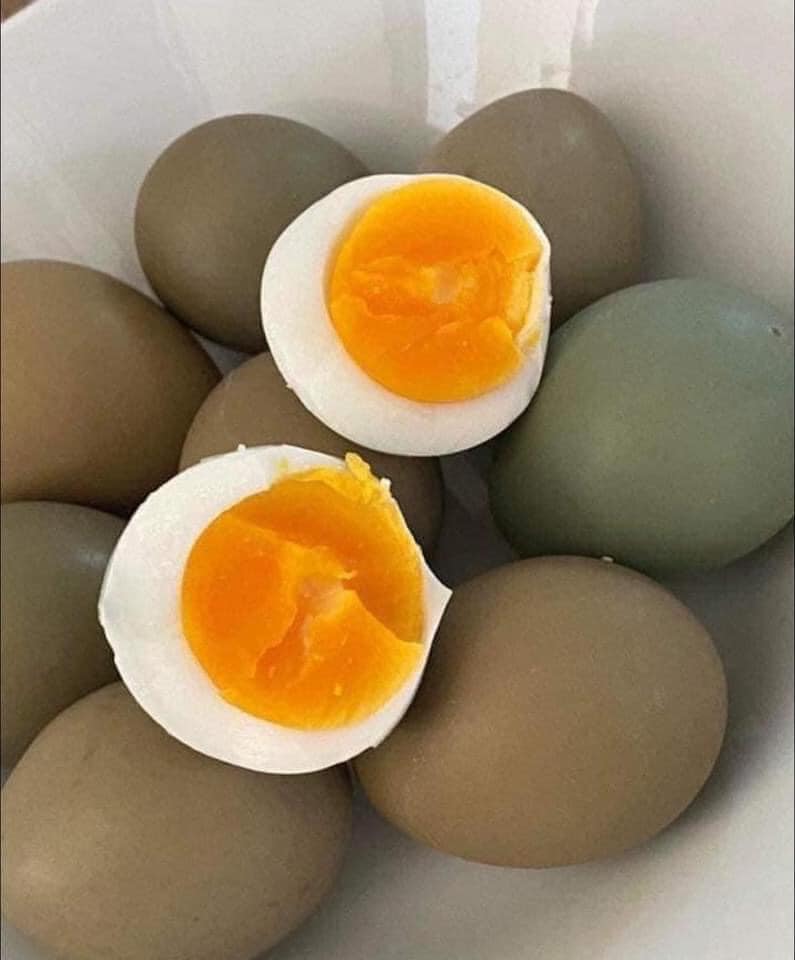 Loại trứng màu xanh đỏ bắt mắt, giá đắt gấp 10 lần trứng gà ta nhưng chị em vẫn lùng mua-3