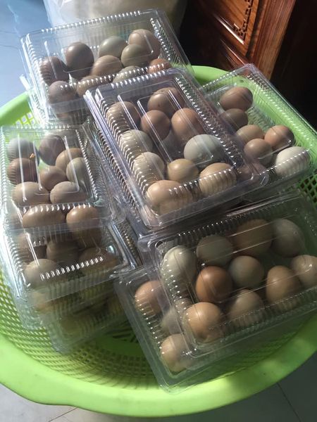 Loại trứng màu xanh đỏ bắt mắt, giá đắt gấp 10 lần trứng gà ta nhưng chị em vẫn lùng mua-10