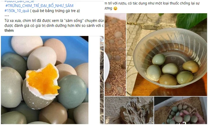 Loại trứng màu xanh đỏ bắt mắt, giá đắt gấp 10 lần trứng gà ta nhưng chị em vẫn lùng mua-7
