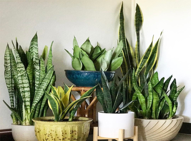 Những đại kị phong thủy nhà ở mà gia chủ nhất định phải khắc cốt ghi tâm: Nếu đang phạm phải thì sửa đổi ngay đi để hút tài vận vào nhà-4