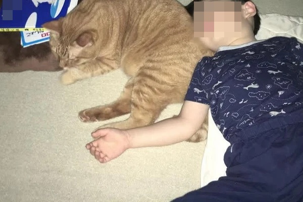 Cậu bé 6 tuổi đau nhức và nghe tiếng động lạ trong tai, đi nội soi bác sĩ hốt hoảng khi thấy con vật đang làm tổ bên trong-2