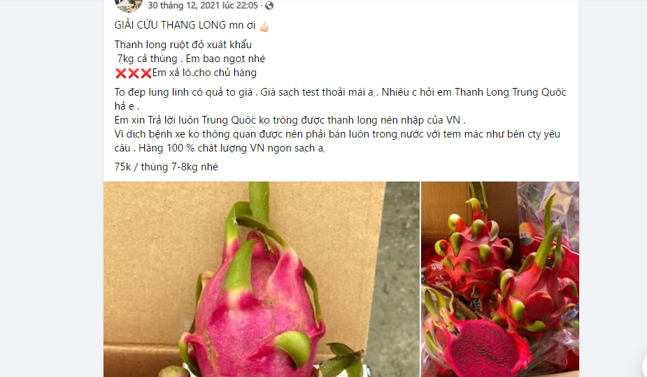 Thanh long ruột đỏ xuất khẩu cùng bà con giá rẻ giật mình chưa đến 10k/kg-5