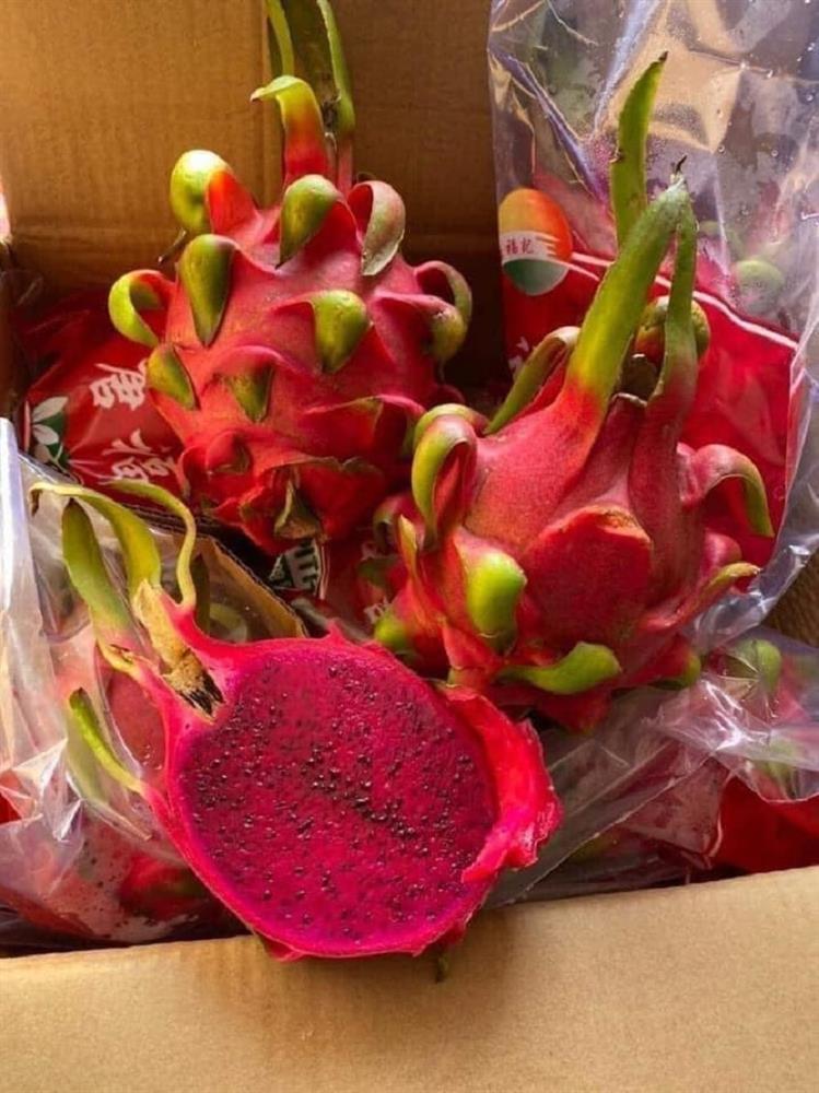 Thanh long ruột đỏ xuất khẩu cùng bà con giá rẻ giật mình chưa đến 10k/kg-2