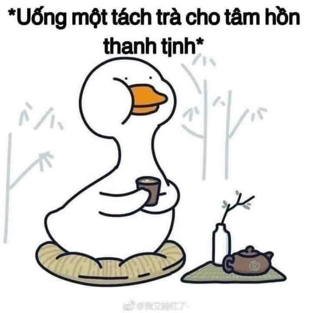 Dân ôm cổ FLC bây giờ: Tầm này mình sống như 1 đoá hoa, chỉ muốn uống ly trà hoa cúc để... tĩnh tâm lại-4