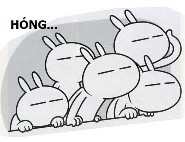 Dân ôm cổ FLC bây giờ: Tầm này mình sống như 1 đoá hoa, chỉ muốn uống ly trà hoa cúc để... tĩnh tâm lại-5